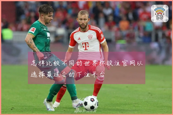 怎样比较不同的世界杯投注官网以选择最适合的下注平台