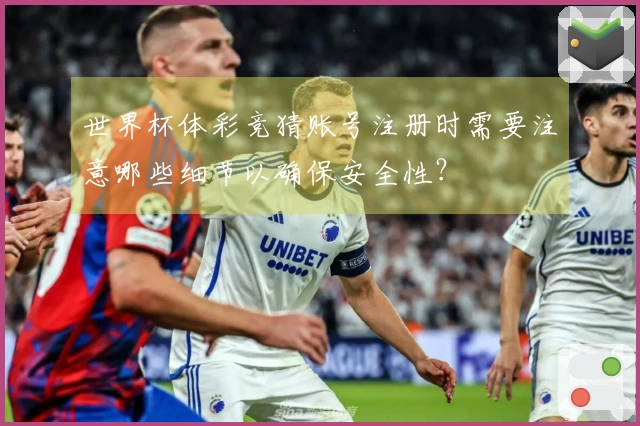 世界杯体彩竞猜账号注册时需要注意哪些细节以确保安全性？