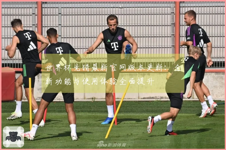世界杯竞猜最新官网版本更新：全新功能与使用体验全面提升