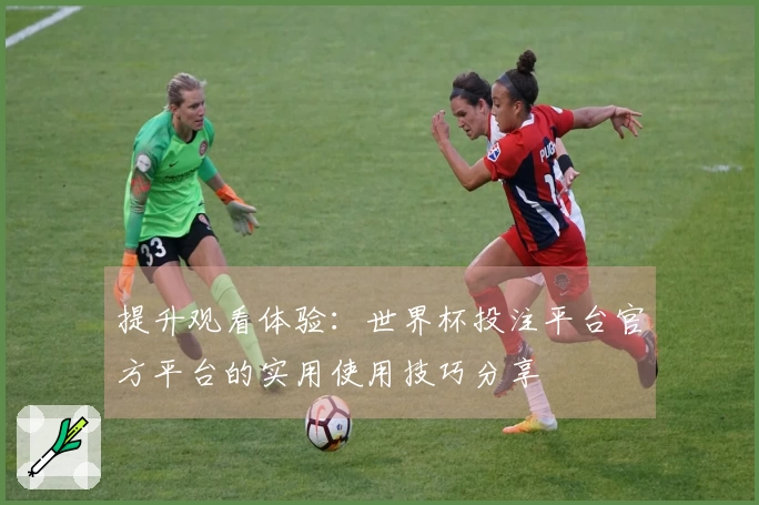 提升观看体验：世界杯投注平台官方平台的实用使用技巧分享