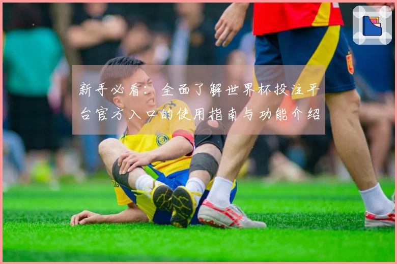 新手必看：全面了解世界杯投注平台官方入口的使用指南与功能介绍