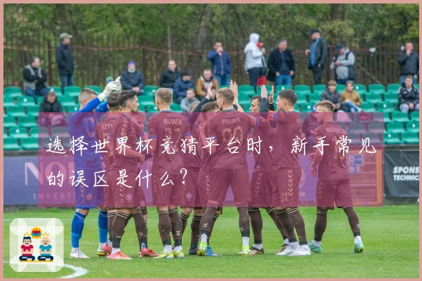 选择世界杯竞猜平台时，新手常见的误区是什么？