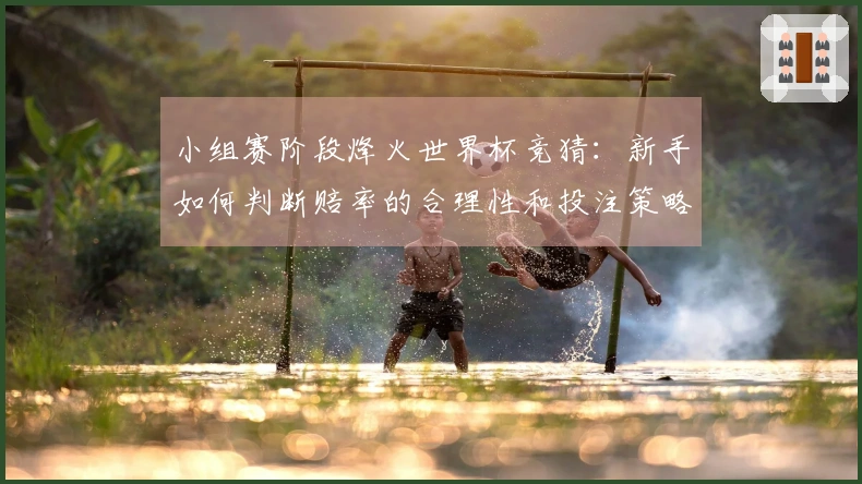 小组赛阶段烽火世界杯竞猜:新手如何判断赔率的合理性和投注策略