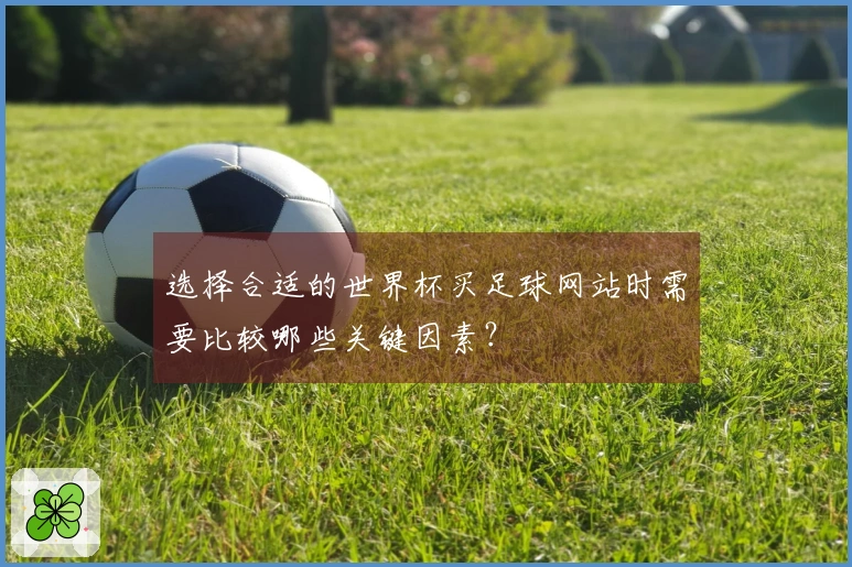 选择合适的世界杯买足球网站时需要比较哪些关键因素？