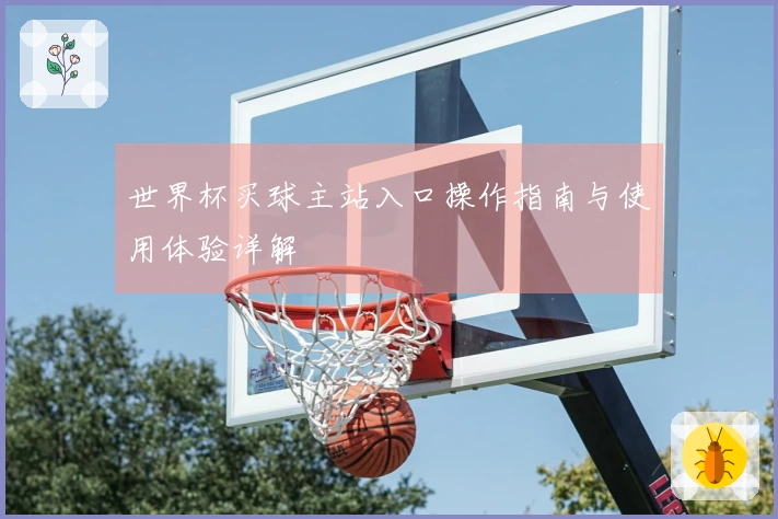世界杯买球主站入口操作指南与使用体验详解