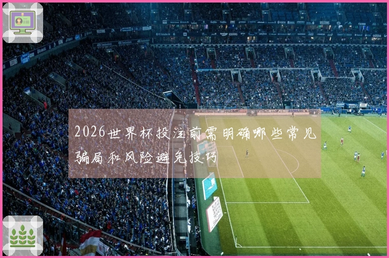2026世界杯投注前需明确哪些常见骗局和风险避免技巧