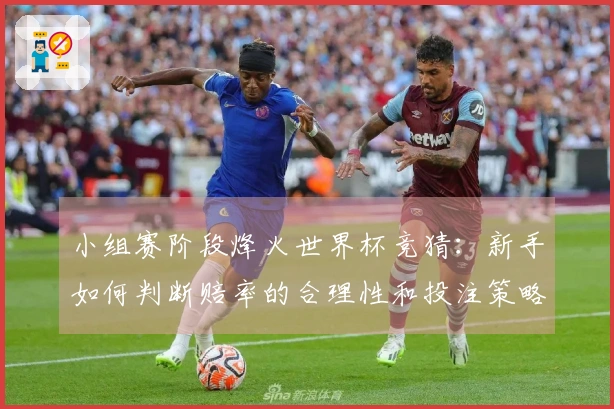 小组赛阶段烽火世界杯竞猜：新手如何判断赔率的合理性和投注策略
