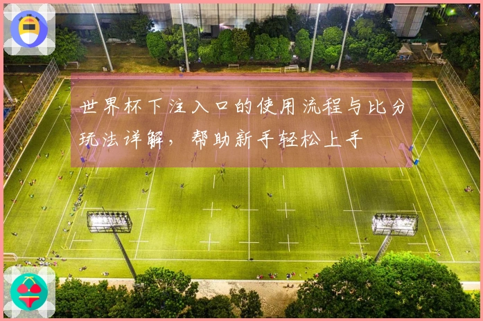 世界杯下注入口的使用流程与比分玩法详解，帮助新手轻松上手