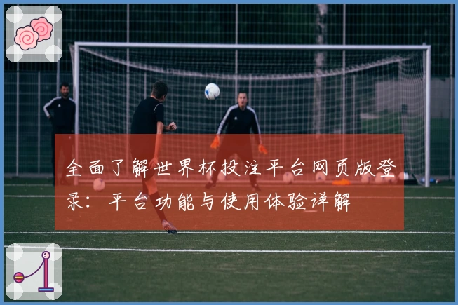 全面了解世界杯投注平台网页版登录：平台功能与使用体验详解