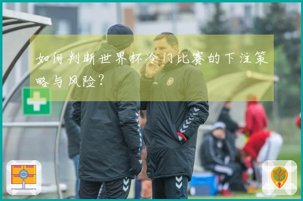 如何判断世界杯冷门比赛的下注策略与风险?