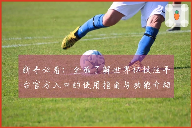 新手必看：全面了解世界杯投注平台官方入口的使用指南与功能介绍