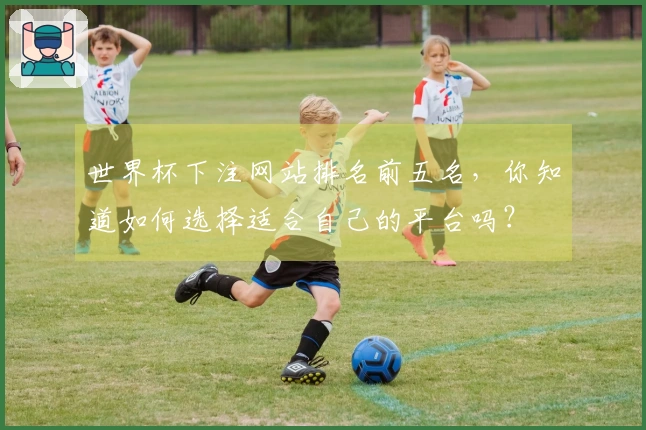世界杯下注网站排名前五名，你知道如何选择适合自己的平台吗？