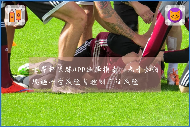 世界杯买球app选择指南：老手如何规避平台风险与控制下注风险