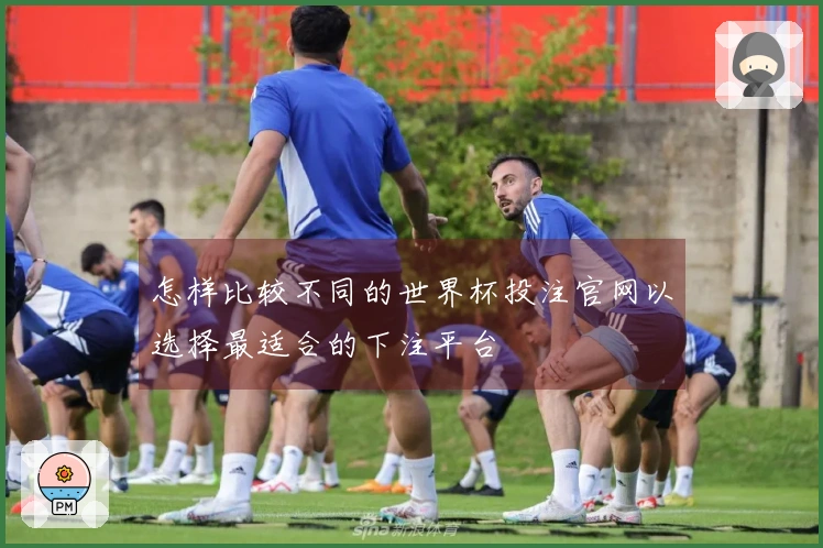 怎样比较不同的世界杯投注官网以选择最适合的下注平台