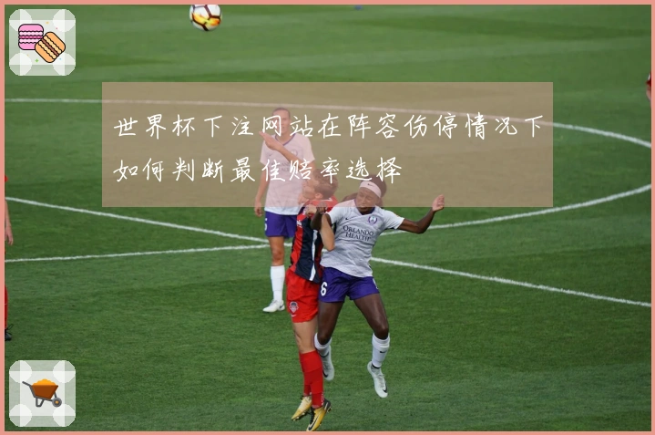 世界杯下注网站在阵容伤停情况下如何判断最佳赔率选择