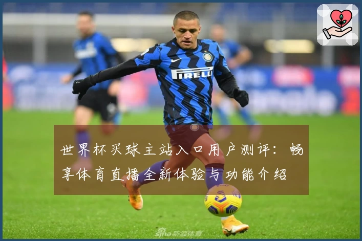 世界杯买球主站入口用户测评：畅享体育直播全新体验与功能介绍