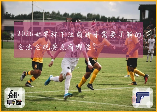 2026世界杯下注前新手需要了解的合法合规要点有哪些？