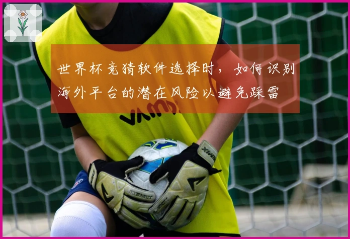 世界杯竞猜软件选择时，如何识别海外平台的潜在风险以避免踩雷